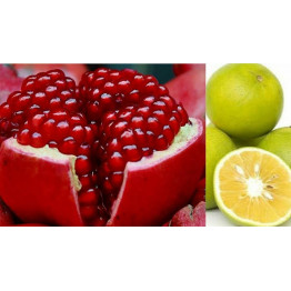Ganesh Chaturthi Bundle ( Anar 1 kg And Mosambi 2kg )